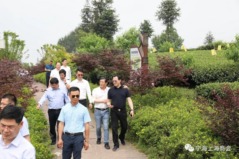 联商联谊，共谋发展